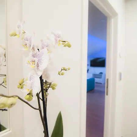 Apartment Rodeos Luxury